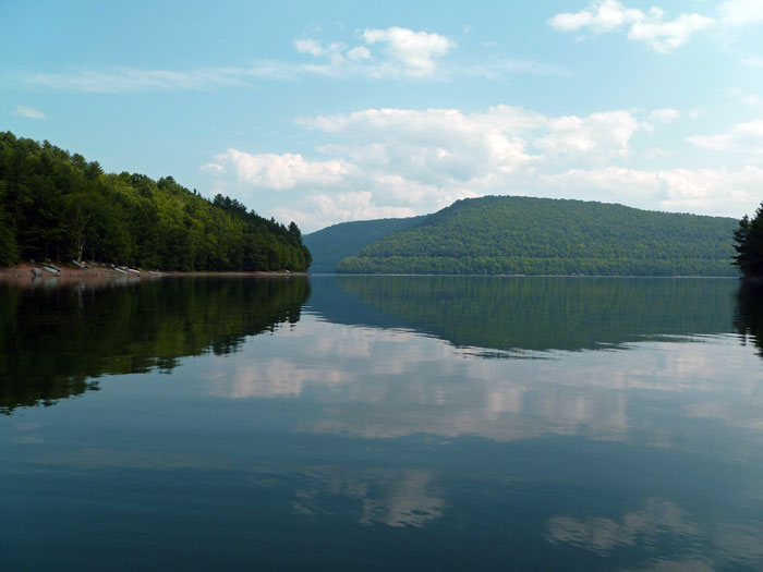 Pepacton view