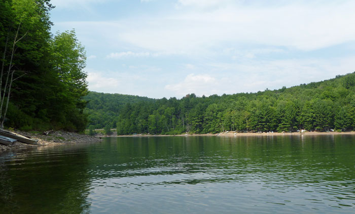 Pepacton Cove
