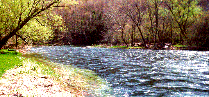 Delaware River - East Branch