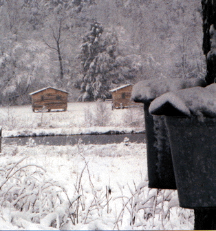 SAP SNOW BEHIND CABINS